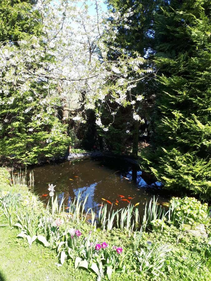 Ferienwohnung Am Sorpesee Allendorf  Dış mekan fotoğraf
